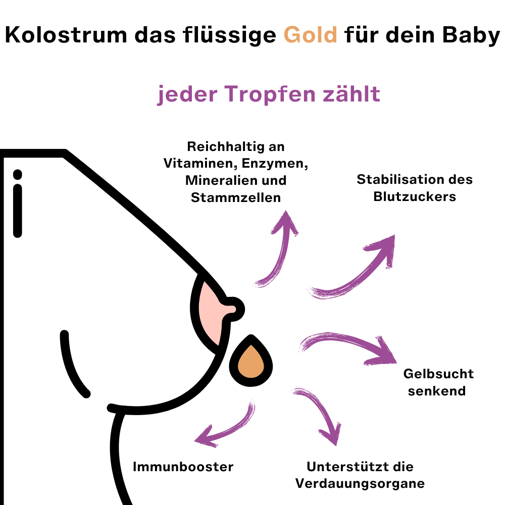 myEphelia Kolostrum sammeln Kolostrumspritze