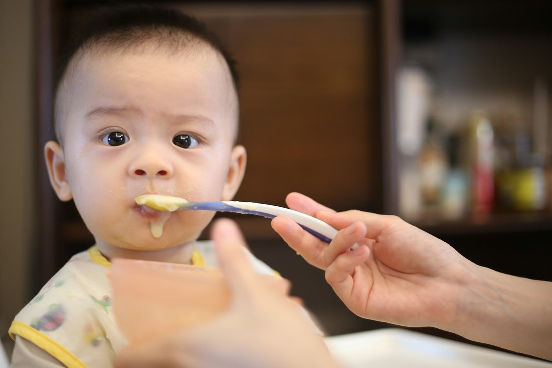 Für eine stressfreie Einführung: Baby Led Weaning Übersetzung im Überblick