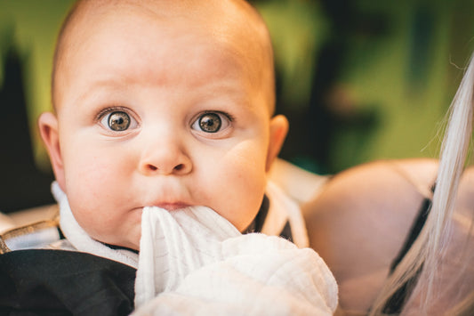 Klein, aber Fein: Waffeln Baby Led Weaning für Ihr Babyglück