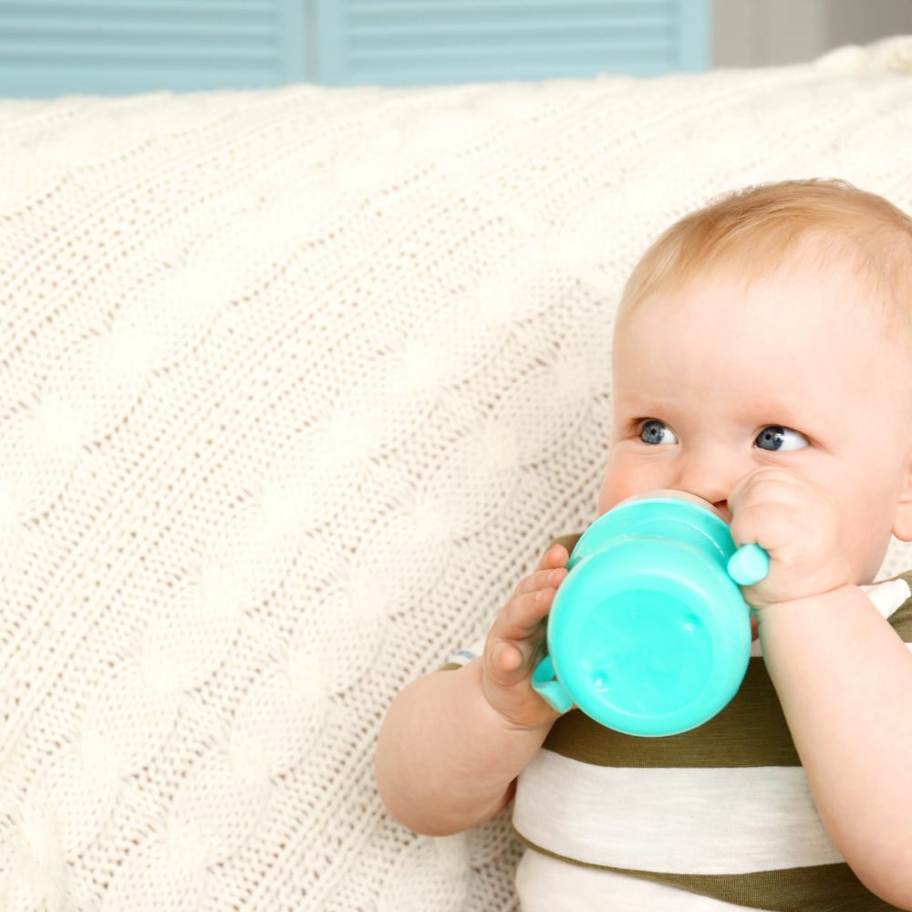 Fenchel in Kindertees? – Was die EMA empfiehlt und worauf Eltern achten sollten